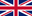 US Flag
